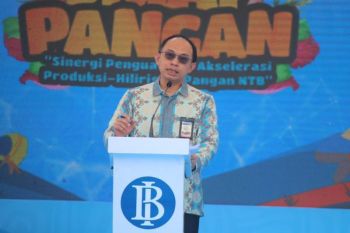 Waspadai risiko El Nino 2027 terhadap inflasi pangan