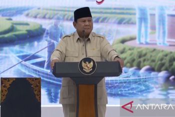 Presiden Prabowo dukung cabut izin perusahaan asing terbukti terkait karhutla