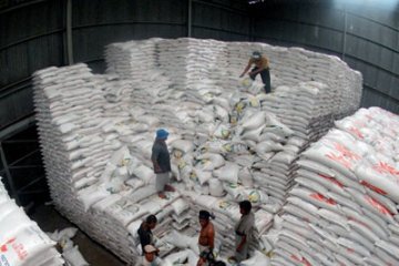 Pengamat ragukan rencana Bulog ekspor beras