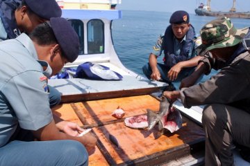 PM TNI AL sidik anggota terkait penembakan nelayan