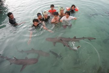 Gelombang tinggi, sekitar 140 wisatawan "terjebak" di Pulau Karimun Jawa