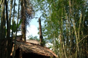 Petani Baduy mulai berladang huma