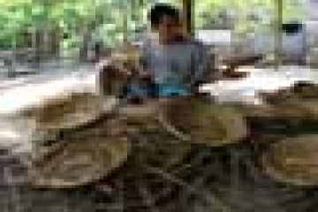 PIRING LIDI
