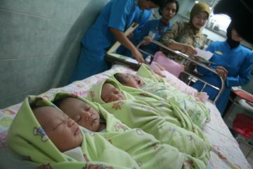 Sehari 10.000 Bayi Lahir di Indonesia