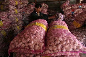 Bawang Putih China Pukul Bawang Putih Domestik Di Batam