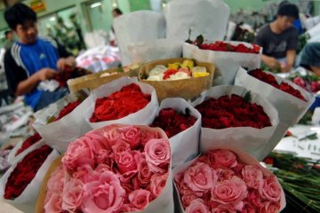 "Kampung Digital" rambah pasar bunga Rawa Belong