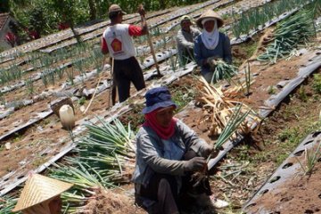 Peneliti: Tidak semua pekerjaan dapat diterapkan upah kerja per jam