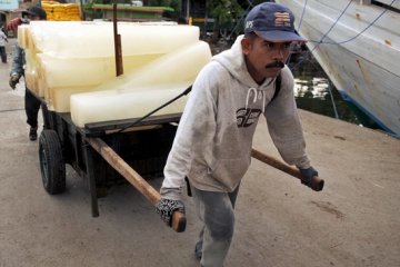 Nelayan pesisir Lebak butuh pabrik es