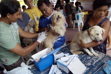 Bengkulu Kekurangan 90 Ribu Vaksin Rabies