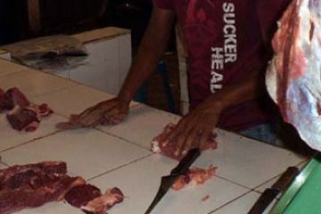 Sapi-Stabil