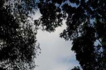 WISATA BUDAYA