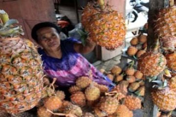 PEDAGANG NANAS