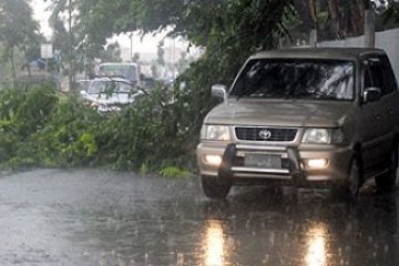Pohon Tumbang di Jalan Duyung Batam