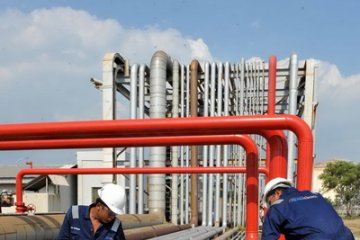 Pembangunan pabrik petrokimia diharapkan tekan impor