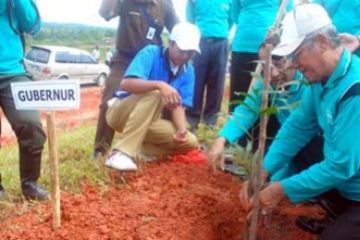 Tanam Pohon