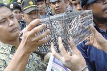 Kejaksaan Batam Dihadiahi Jebakan Tikus