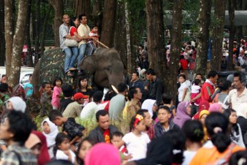 50 ribu orang berlibur di KB Ragunan hari ini