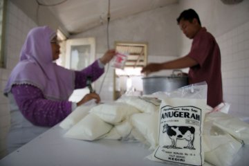 Rajin minum susu bisa raih Nobel