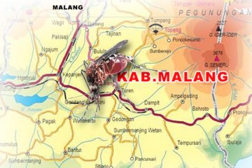 Wabah chikungunya merebak di Kota Malang