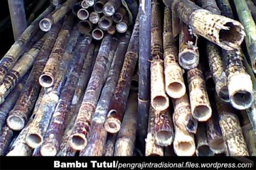 37 Jenis Bambu di Jabar Hampir Punah 