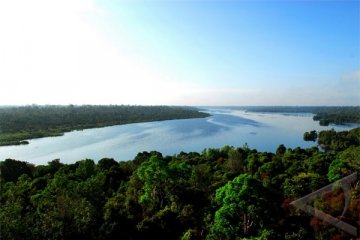 AS Bebaskan Utang Indonesia Untuk Perlindungan Hutan