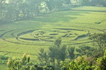 Tidak Ada Radiasi di Tanah Jejak UFO