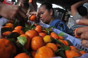 Makan Delapan Buah-buahan Terlalu Banyak? 