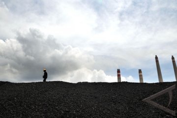 Harga batubara dunia ditentukan China dan India