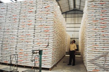 Bulog: pemprov Sulbar siap bangun gudang beras 4.000 ton