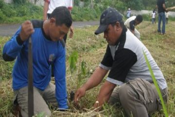 TANAM POHON