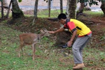 Kebun Binatang Mini