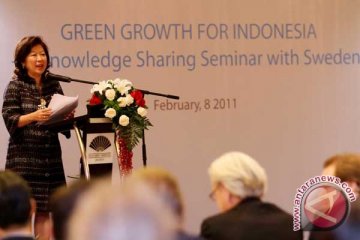 Indonesia-Swedia Dorong Pertumbuhan Ekonomi "Hijau" 