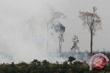 Terdeteksi 78 titik panas di Riau