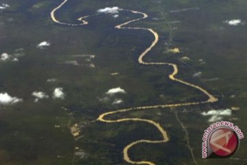 Limbah Batu Bara Rusak Ekosistem Sungai Bengkulu 