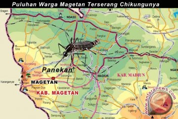 Puluhan Warga Magetan Terserang Chikungunya