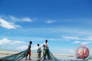 Beranda - SAR cari korban tenggelam KM Alfatah di Sungai Merauke