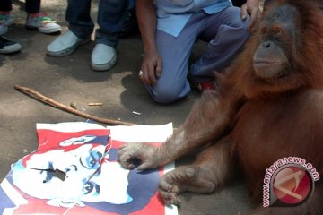 Kecewa Soal Nurdin, Viking Persib Demo ke Kebun Binatang