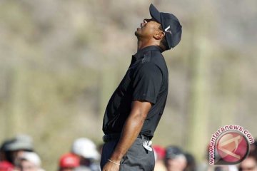 Tiger Woods Absen dari US Open 