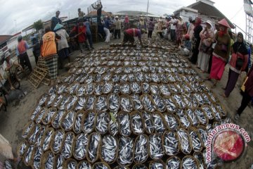 Enam Nelayan ASEAN Aktif Curi Ikan Indonesia