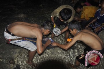 NTB ajak wisatawan meriahkan tradisi "bau nyale"