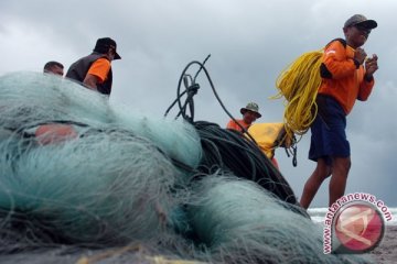 Puluhan wisatawan Pantai Parangtritis tersengat ubur-ubur