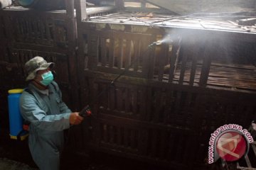 Cegah flu burung, Kementan-FAO inisiasi model pasar unggas bersih di Jabodetabek