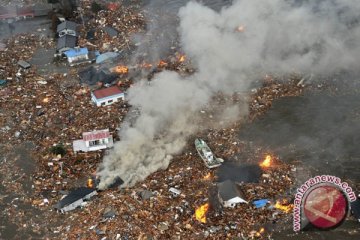 Tsunami Jepang, 10 Lagi WNI Tiba di Jakarta
