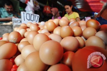 Ngantuk saat bekerja, makanlah telur