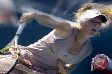Wozniacki Kalahkan Safarova Untuk Juarai Denmark Terbuka