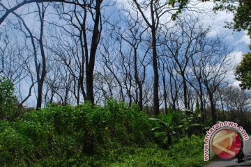 Presiden hadiri seminar tentang hutan Indonesia 