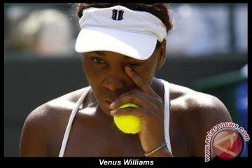 Venus, Date-krumm ke Babak Kedua Wimbledon