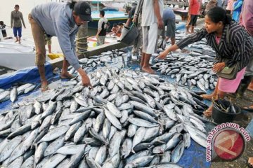 Benarkah Makan Ikan Cerdaskan Anak?