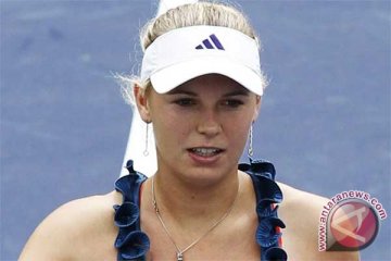 Wozniacki Bangkit Untuk Capai Semifinal Charleston
