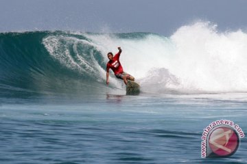 Gigitan hiu bikin rusak papan selancar di Australia